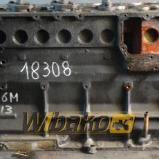 Block Engine / Motor Deutz BF6M1013 