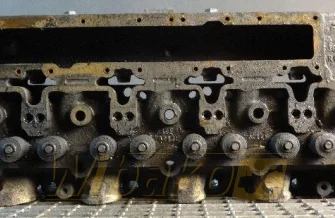 Cylinder head for engine Cummins 6CT8.3 3919764