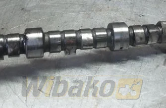 Camshaft Mitsubishi 8DC9 195