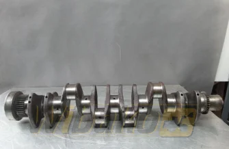 Crankshaft Iveco F4AE06842 