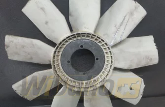 Fan Furukawa 9/51