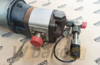 Gear pump Bosch 0541500069/1518222474
