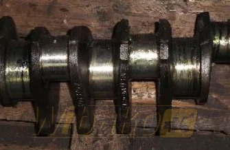 Crankshaft Cummins 3073707