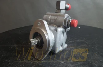 Gear pump ZF 7685955719 002151