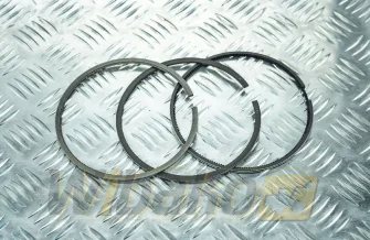 Piston rings NPR 8914500000