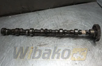 Camshaft Isuzu 6BG1TPC-01 