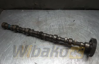 Camshaft Isuzu A-6BG1TQB 