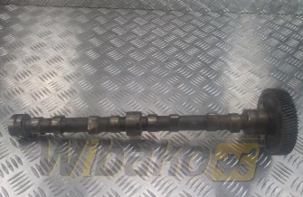 Camshaft for engine Kubota V3300 