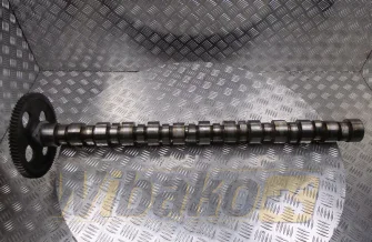 Camshaft for engine Cummins LT10 3036117