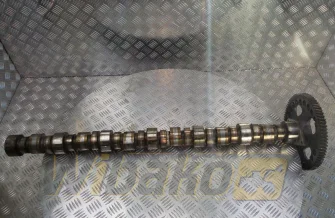 Camshaft Cummins M11 CELECT PLUS 3895786