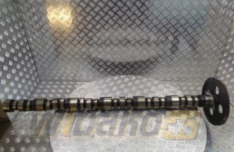 Camshaft for engine Cummins KT19 3077994