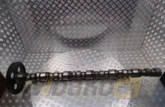 Camshaft for engine Cummins KT19 3077994