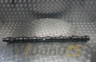 Camshaft Cummins 505/C8.3 