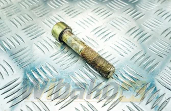 Camshaft screw M20 Liebherr D904/D914/D924/D906/D916/D926 4981118