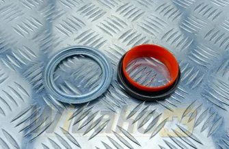 Shaft seal przód Victor Reinz 81-10004-00