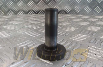 Tappet Iveco F4AE0682C 