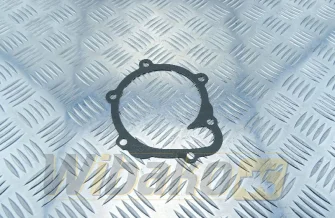 Water pump gasket Locter 1012/2013 04202975