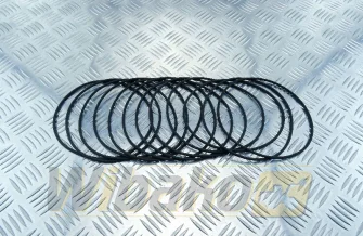 O-ringi tulei for engine Victor Reinz BF6M1015 01180667