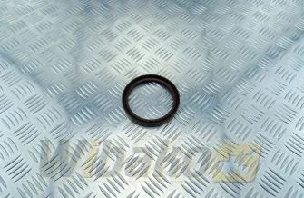 Shaft seal Front Hanomag D964T 2998590M2