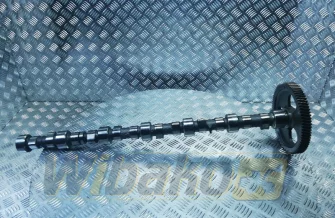 Camshaft Cummins 3923478