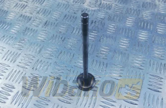 Inlet valve for engine Cummins M11 
