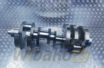 Crankshaft Liebherr D9508 10128914/10117712/3021910