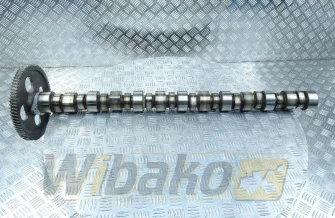 Camshaft for engine Cummins LT10 3895809