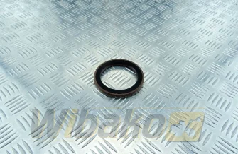 Shaft seal Front Victor Reinz D7 / 1013 81-35999-00