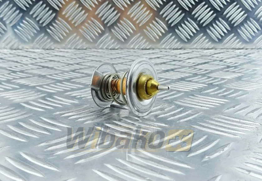 Thermostat Thermotec D2CL001TT – new