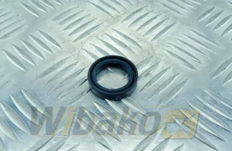 Oil seal DPH 25X35X7 1265851
