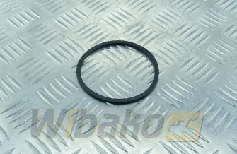 Gasket Liebherr 10294170