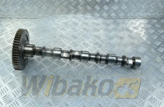 Camshaft Deutz TCD3.6 L4 04125160/04125134