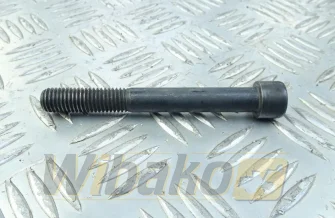 Valve lever screw ISO4762 M12X100 10.9 Liebherr 4043006