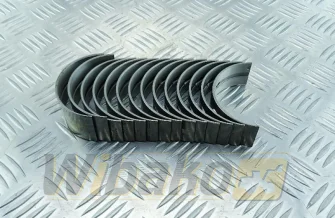 Main bearings AIP 1006 U5MB0007/11010043