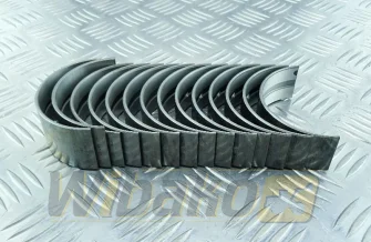 Main bearings AIP 1006 68079B/11010041