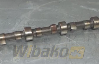 Camshaft Volvo TD122KHE 1001549