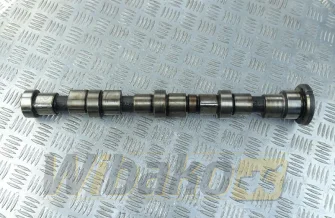 Camshaft Cummins 4896419