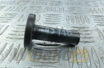 Tappet Iveco 4891226