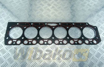 Cylinder head gasket Engine / Motor wbk BF6M1012 04209896