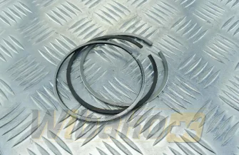 Piston rings Engine / Motor wbk 1012 / 2011 04251766