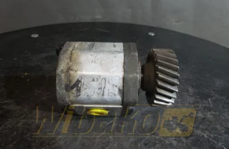 Gear pump Hydraulik Technik 2DC2012L10 