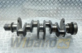 Crankshaft Cummins 5289840