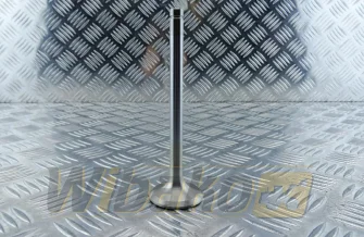 Exhaust valve wbk 9146784
