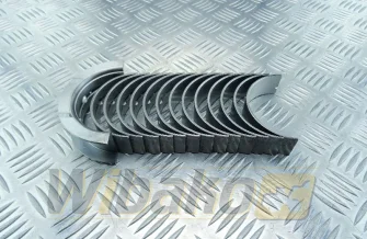 Main bearings STD Kolbenschmidt 77801600