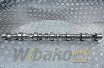 Camshaft Volvo TD73 8192784