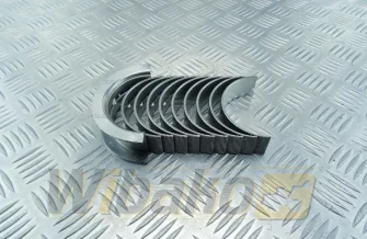Main bearings STD Kolbenschmidt 77800600