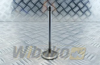 Inlet valve TRW 22325