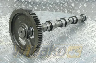 Camshaft for engine Cummins 3.9 3929885
