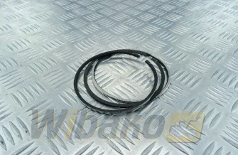 Piston rings Engine / Motor Kolbenschmidt 6CT8.3 800054510000