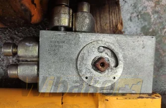 Cylinder lock / safety valve Liebherr R904C 10000354